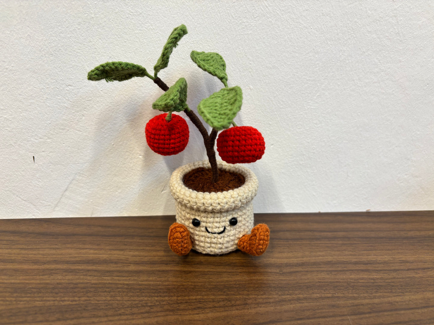 Small Plush-Inspired Crochet Plant Pot