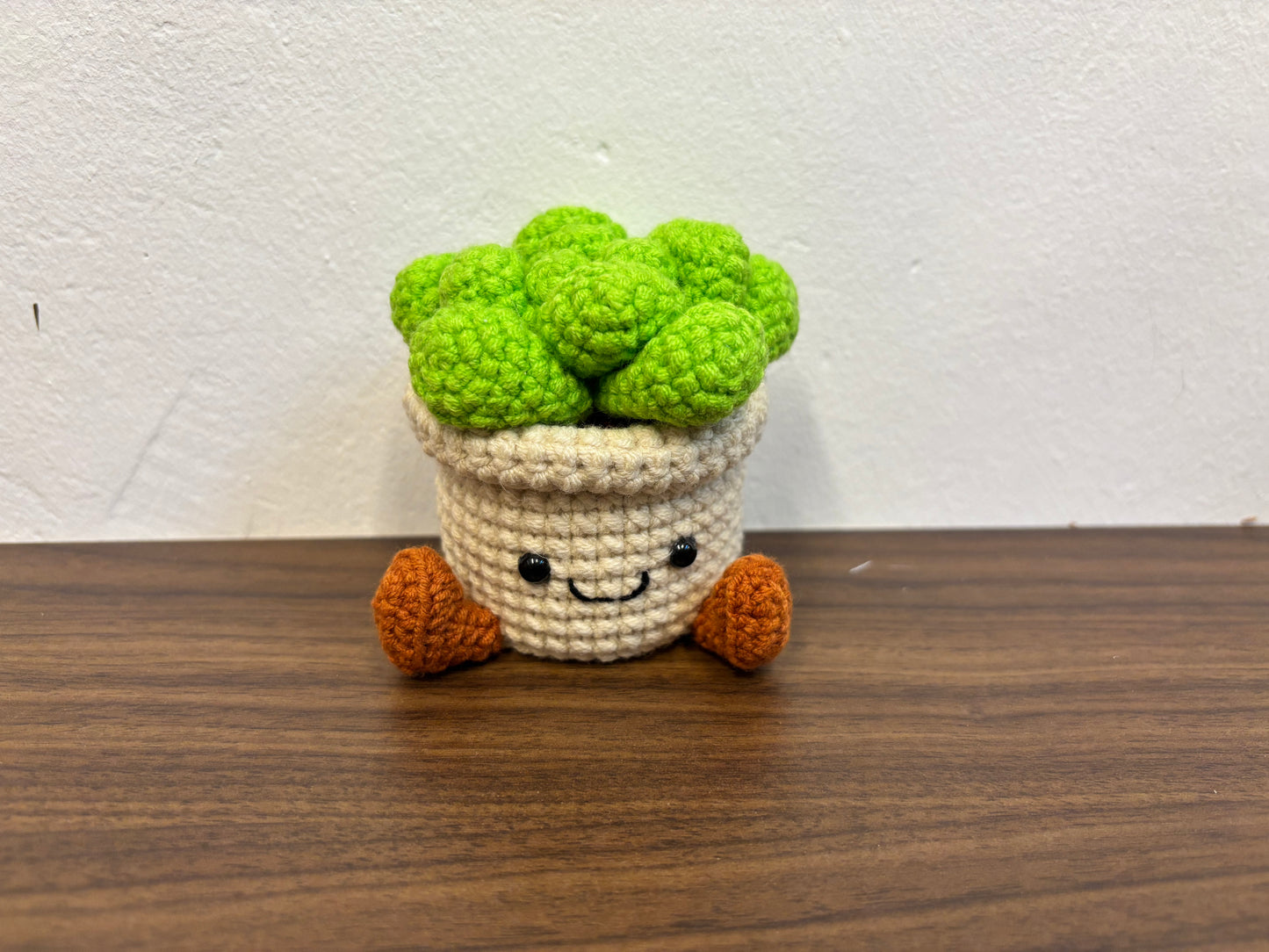 Small Plush-Inspired Crochet Plant Pot