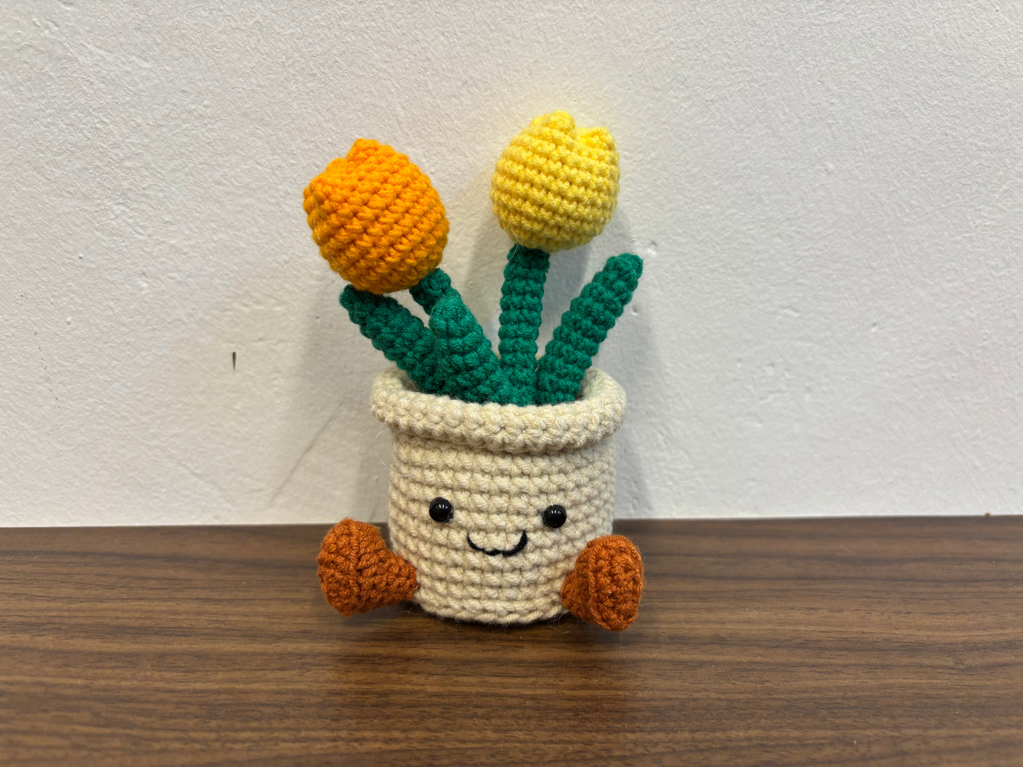 Small Plush-Inspired Crochet Plant Pot