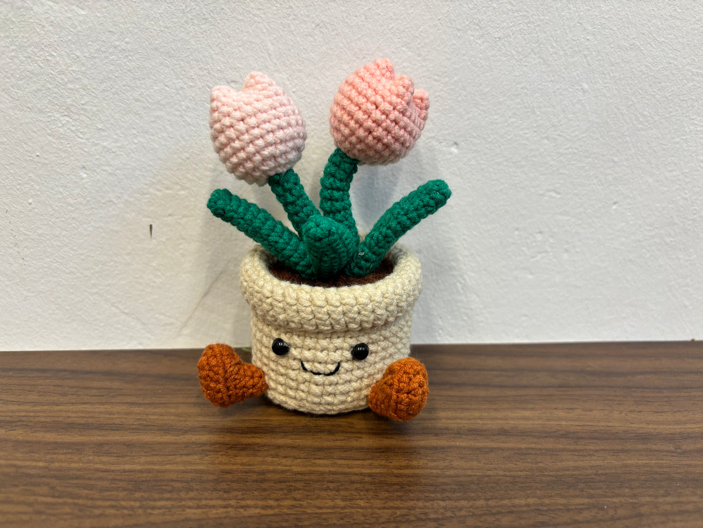 Small Plush-Inspired Crochet Plant Pot